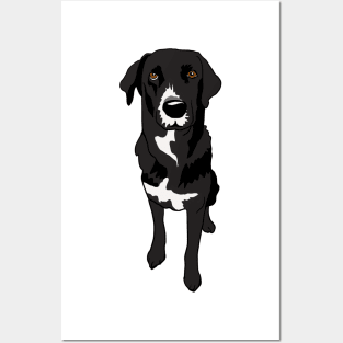 Great Dane Lab Mix Dog Posters and Art